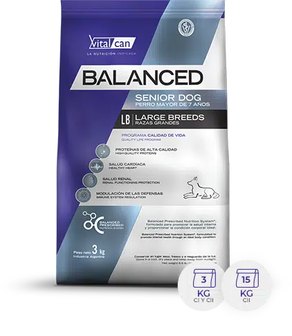 Balanced Perro Senior Raza Grande.